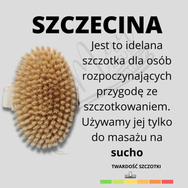 Szczotka do masażu ciała na sucho – Szczecina - obrazek 3